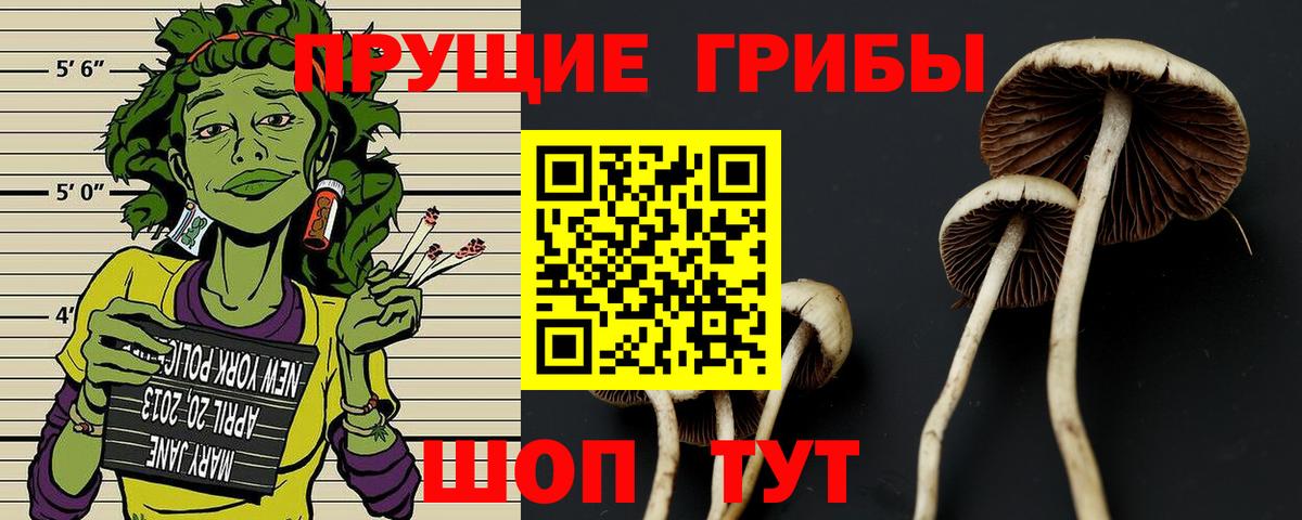 Псилоцибиновые грибы ЛСД Железногорск