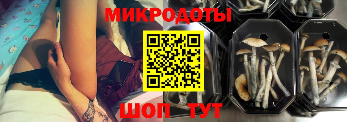Железногорск  Псилоцибиновые грибы ЛСД  где продают   Вход с VPN 